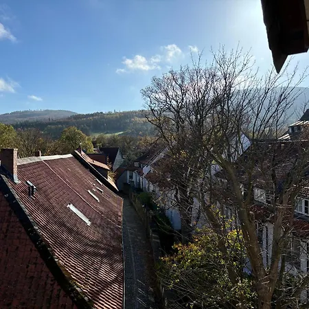 Hygge Living - Grosse Hochwertige - Hundefreundlich - Boxspringbetten - Inmitten Der Altstadt
