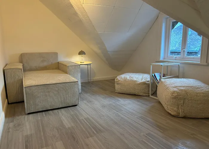 Apartamento Hygge Living - Grosse Hochwertige - Hundefreundlich - Boxspringbetten - Inmitten Der Altstadt Goslar