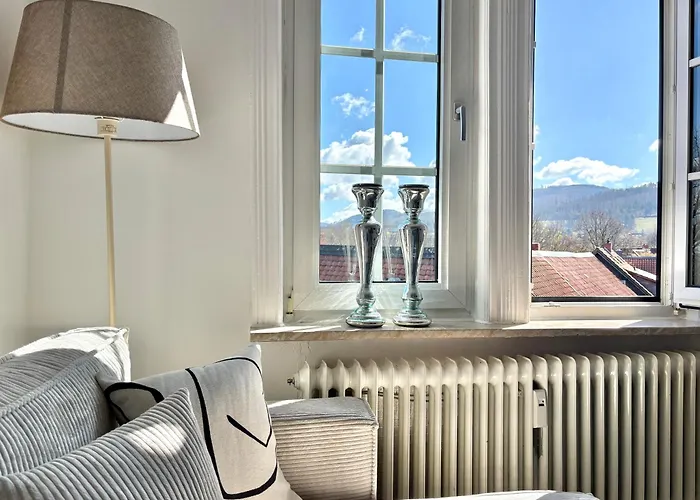 Hygge Living - Grosse Hochwertige - Hundefreundlich - Boxspringbetten - Inmitten Der Altstadt * Goslar